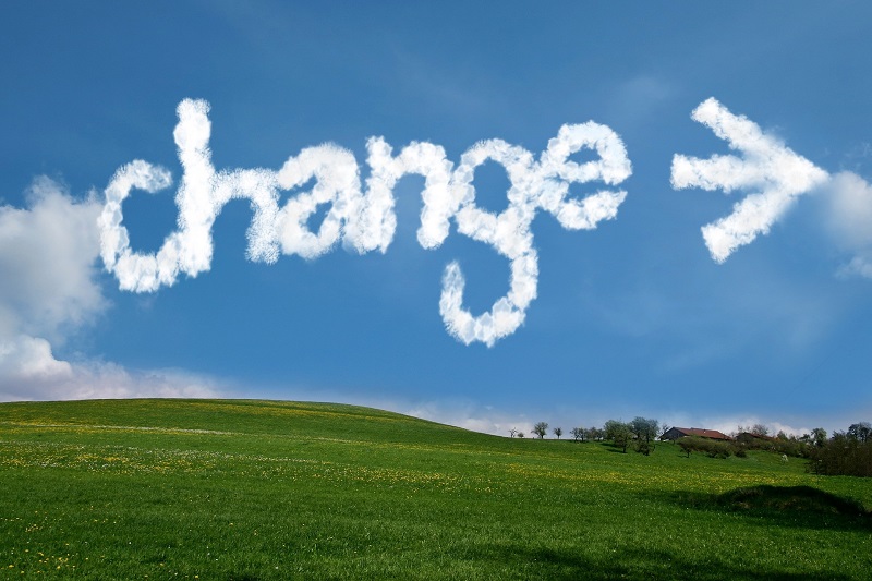 Change management and executive consultancy for small business UK